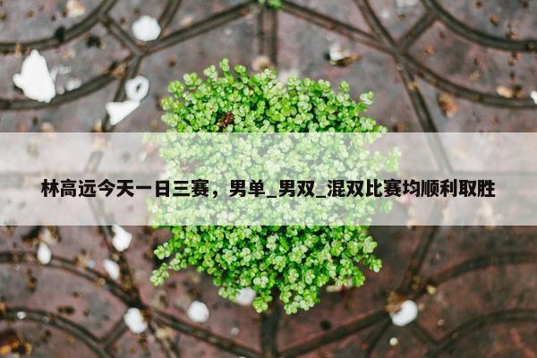 林高远今天一日三赛，男单_男双_混双比赛均顺利取胜