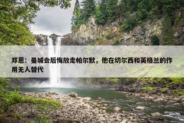 邓恩：曼城会后悔放走帕尔默，他在切尔西和英格兰的作用无人替代