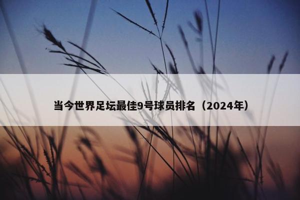 当今世界足坛最佳9号球员排名（2024年）