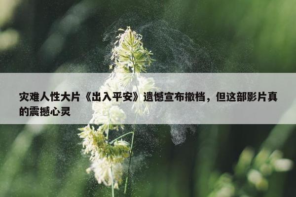 灾难人性大片《出入平安》遗憾宣布撤档，但这部影片真的震撼心灵