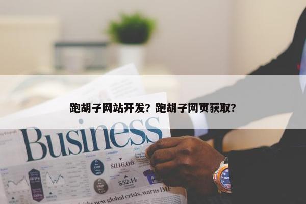 跑胡子网站开发？跑胡子网页获取？