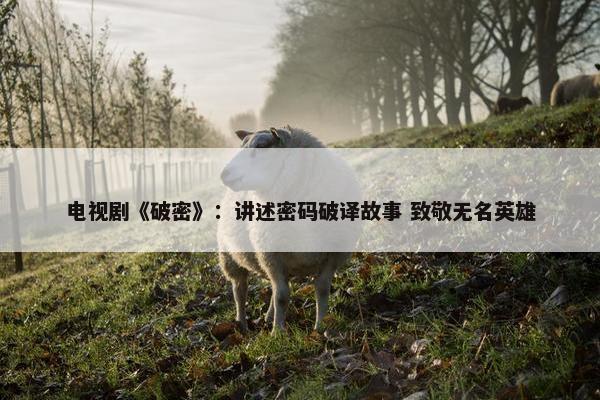 电视剧《破密》：讲述密码破译故事 致敬无名英雄