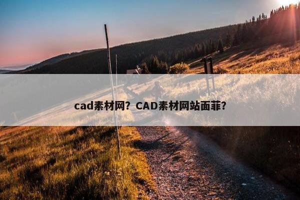 cad素材网？CAD素材网站面菲？