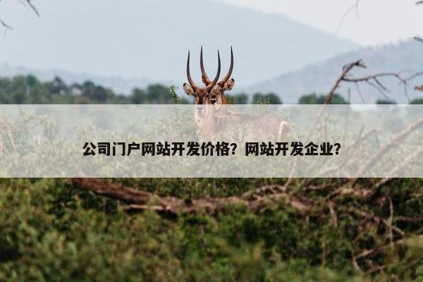 公司门户网站开发价格？网站开发企业？