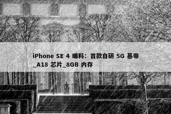 iPhone SE 4 曝料：首款自研 5G 基带_A18 芯片_8GB 内存