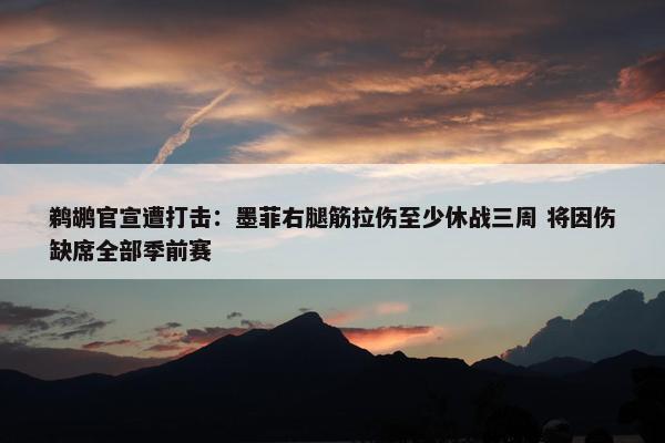 鹈鹕官宣遭打击：墨菲右腿筋拉伤至少休战三周 将因伤缺席全部季前赛