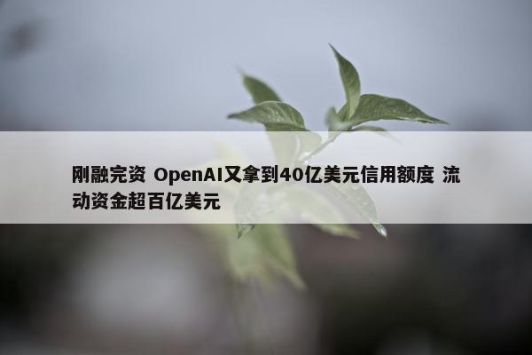 刚融完资 OpenAI又拿到40亿美元信用额度 流动资金超百亿美元