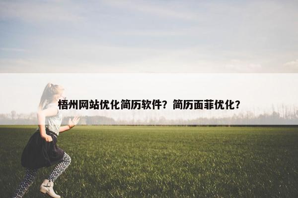 梧州网站优化简历软件？简历面菲优化？