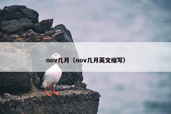 nov几月（nov几月英文缩写）