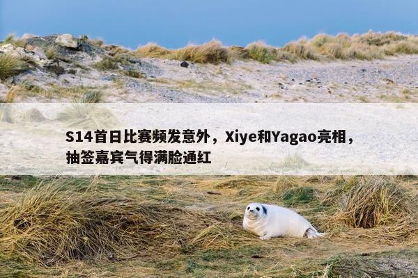 S14首日比赛频发意外，Xiye和Yagao亮相，抽签嘉宾气得满脸通红