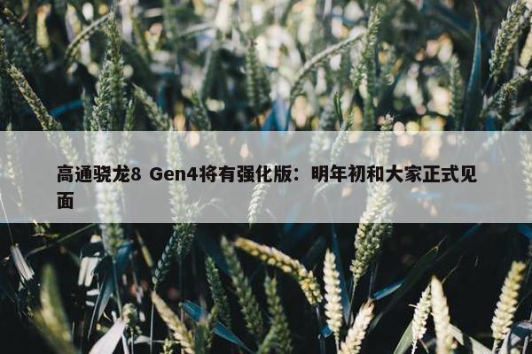 高通骁龙8 Gen4将有强化版：明年初和大家正式见面