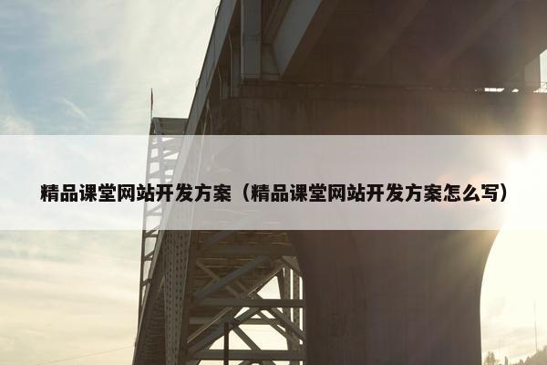 精品课堂网站开发方案（精品课堂网站开发方案怎么写）