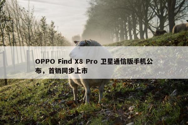 OPPO Find X8 Pro 卫星通信版手机公布，首销同步上市