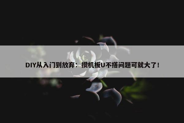 DIY从入门到放弃：攒机板U不搭问题可就大了！