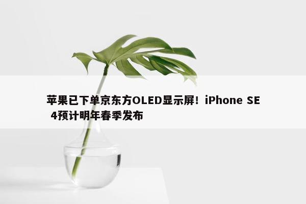 苹果已下单京东方OLED显示屏！iPhone SE 4预计明年春季发布