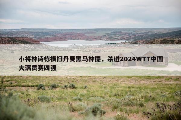 小将林诗栋横扫丹麦黑马林德，杀进2024WTT中国大满贯赛四强