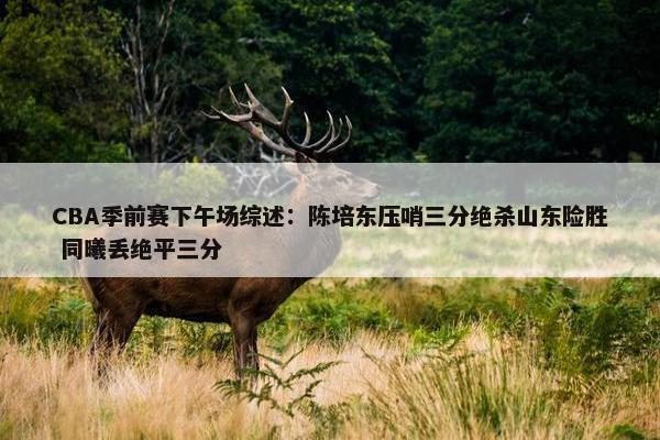 CBA季前赛下午场综述：陈培东压哨三分绝杀山东险胜 同曦丢绝平三分