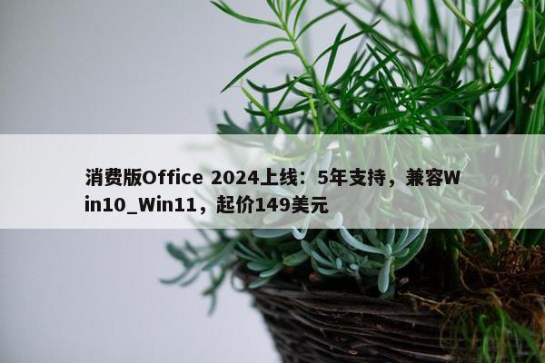 消费版Office 2024上线：5年支持，兼容Win10_Win11，起价149美元