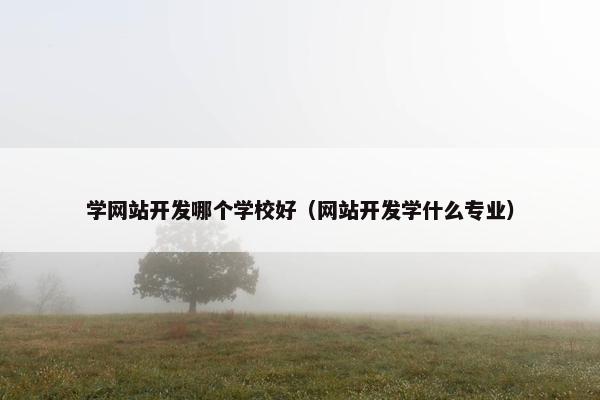 学网站开发哪个学校好（网站开发学什么专业）