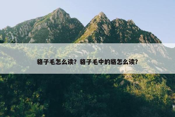 貉子毛怎么读？貉子毛中的貉怎么读？