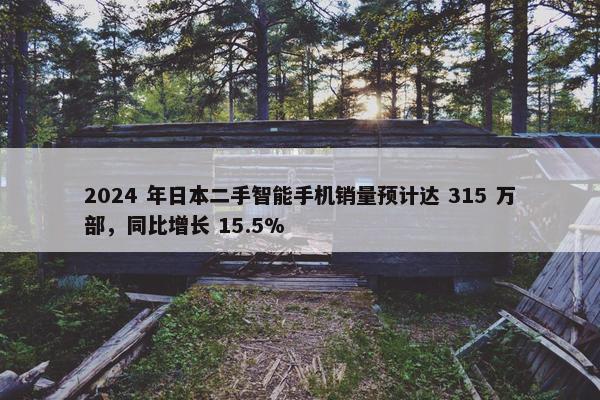 2024 年日本二手智能手机销量预计达 315 万部，同比增长 15.5%