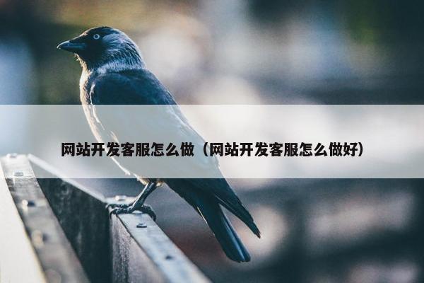 网站开发客服怎么做（网站开发客服怎么做好）