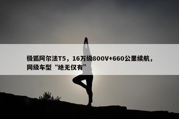 极狐阿尔法T5，16万级800V+660公里续航，同级车型“绝无仅有”