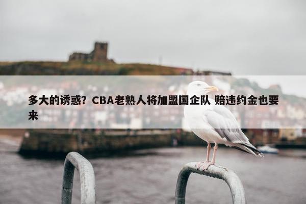 多大的诱惑？CBA老熟人将加盟国企队 赔违约金也要来