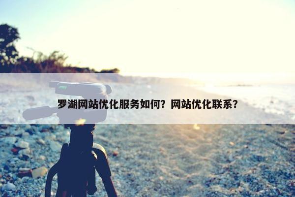 罗湖网站优化服务如何？网站优化联系？