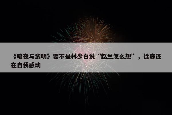 《暗夜与黎明》要不是林少白说“赵兰怎么想”，徐巍还在自我感动