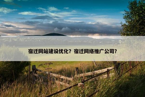 宿迁网站建设优化？宿迁网络推广公司？