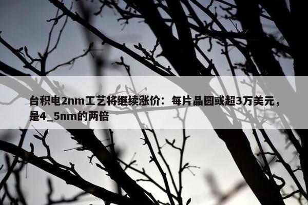 台积电2nm工艺将继续涨价：每片晶圆或超3万美元，是4_5nm的两倍