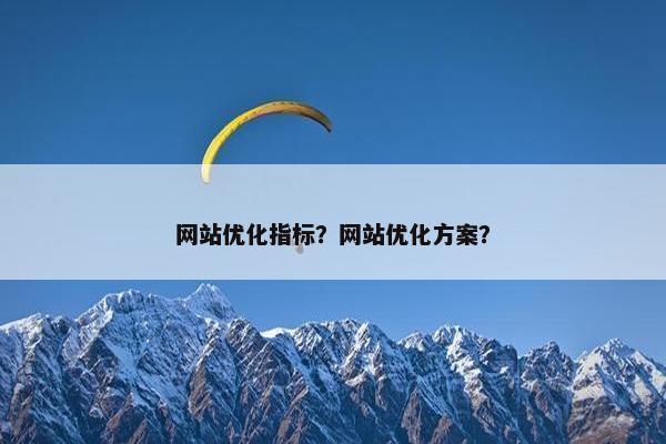 网站优化指标？网站优化方案？