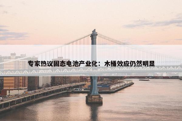 专家热议固态电池产业化：木桶效应仍然明显