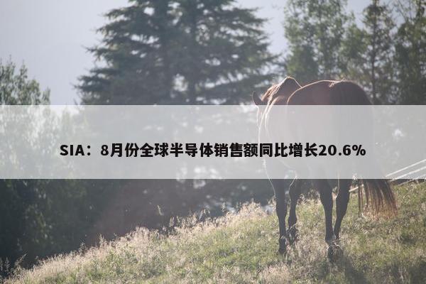 SIA：8月份全球半导体销售额同比增长20.6%