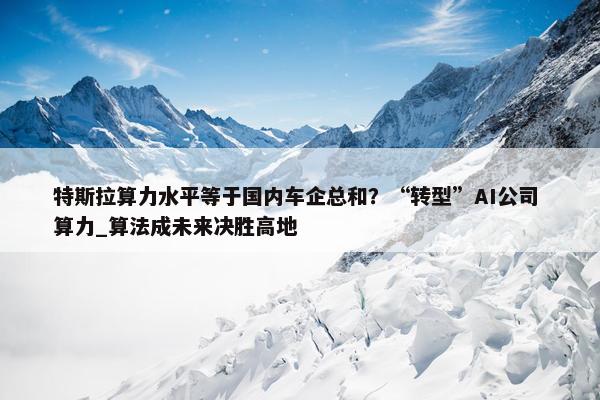 特斯拉算力水平等于国内车企总和？“转型”AI公司 算力_算法成未来决胜高地