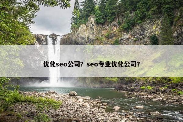 优化seo公司？seo专业优化公司？