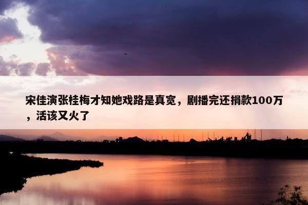 宋佳演张桂梅才知她戏路是真宽，剧播完还捐款100万，活该又火了