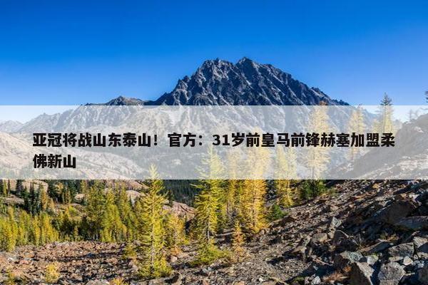 亚冠将战山东泰山！官方：31岁前皇马前锋赫塞加盟柔佛新山