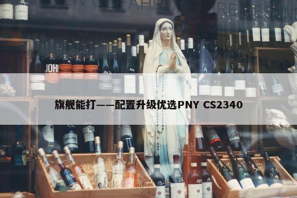 旗舰能打——配置升级优选PNY CS2340