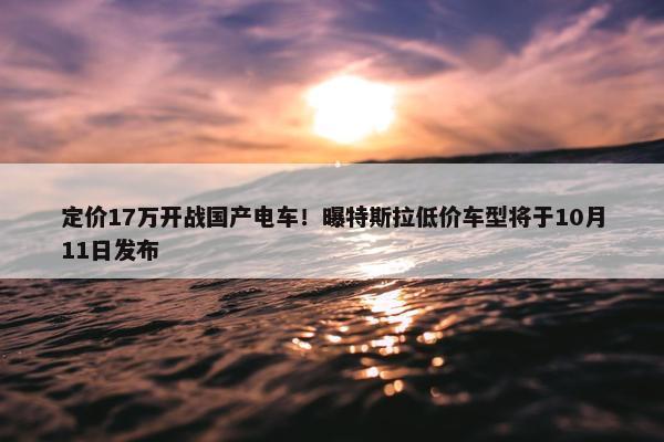 定价17万开战国产电车！曝特斯拉低价车型将于10月11日发布