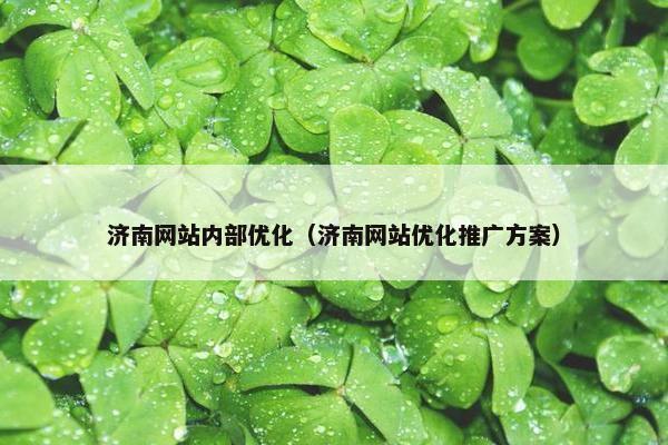 济南网站内部优化（济南网站优化推广方案）