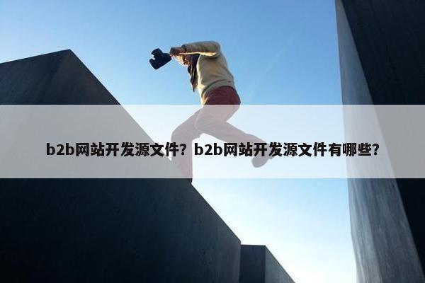 b2b网站开发源文件？b2b网站开发源文件有哪些？