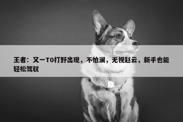 王者：又一T0打野出现，不怕澜，无视赵云，新手也能轻松驾驭