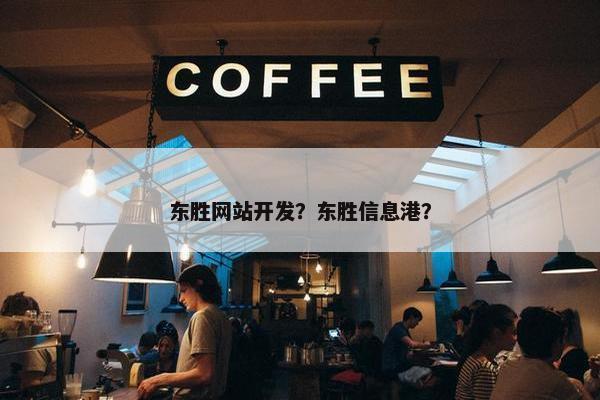 东胜网站开发？东胜信息港？