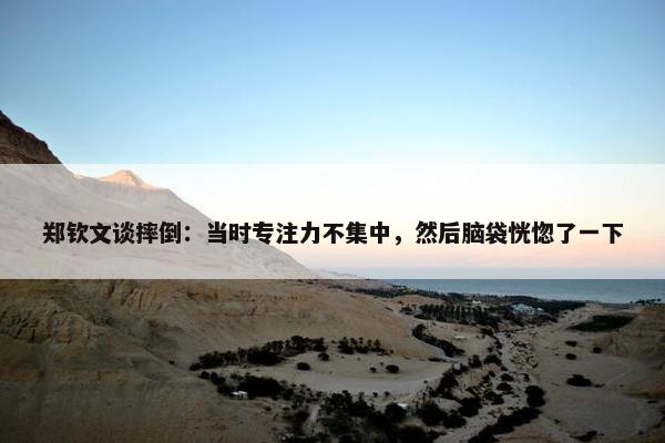 郑钦文谈摔倒：当时专注力不集中，然后脑袋恍惚了一下