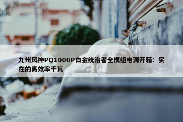 九州风神PQ1000P白金统治者全模组电源开箱：实在的高效率千瓦