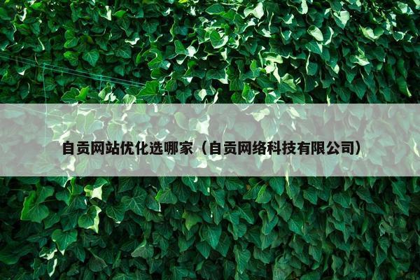 自贡网站优化选哪家（自贡网络科技有限公司）