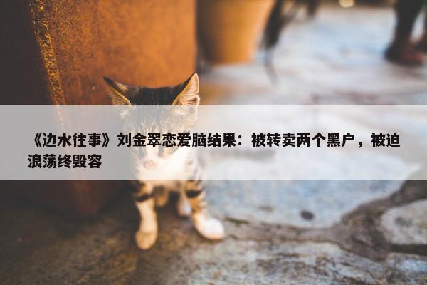 《边水往事》刘金翠恋爱脑结果：被转卖两个黑户，被迫浪荡终毁容