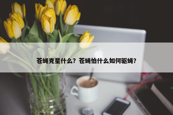 苍蝇克星什么？苍蝇怕什么如何驱蝇？